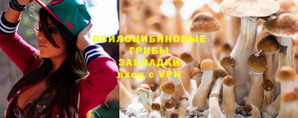 тгк Белокуриха