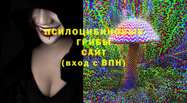 PSILOCYBIN Богородск