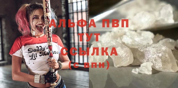 PSILOCYBIN Богородск