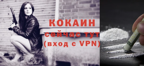 молекула духа Богданович